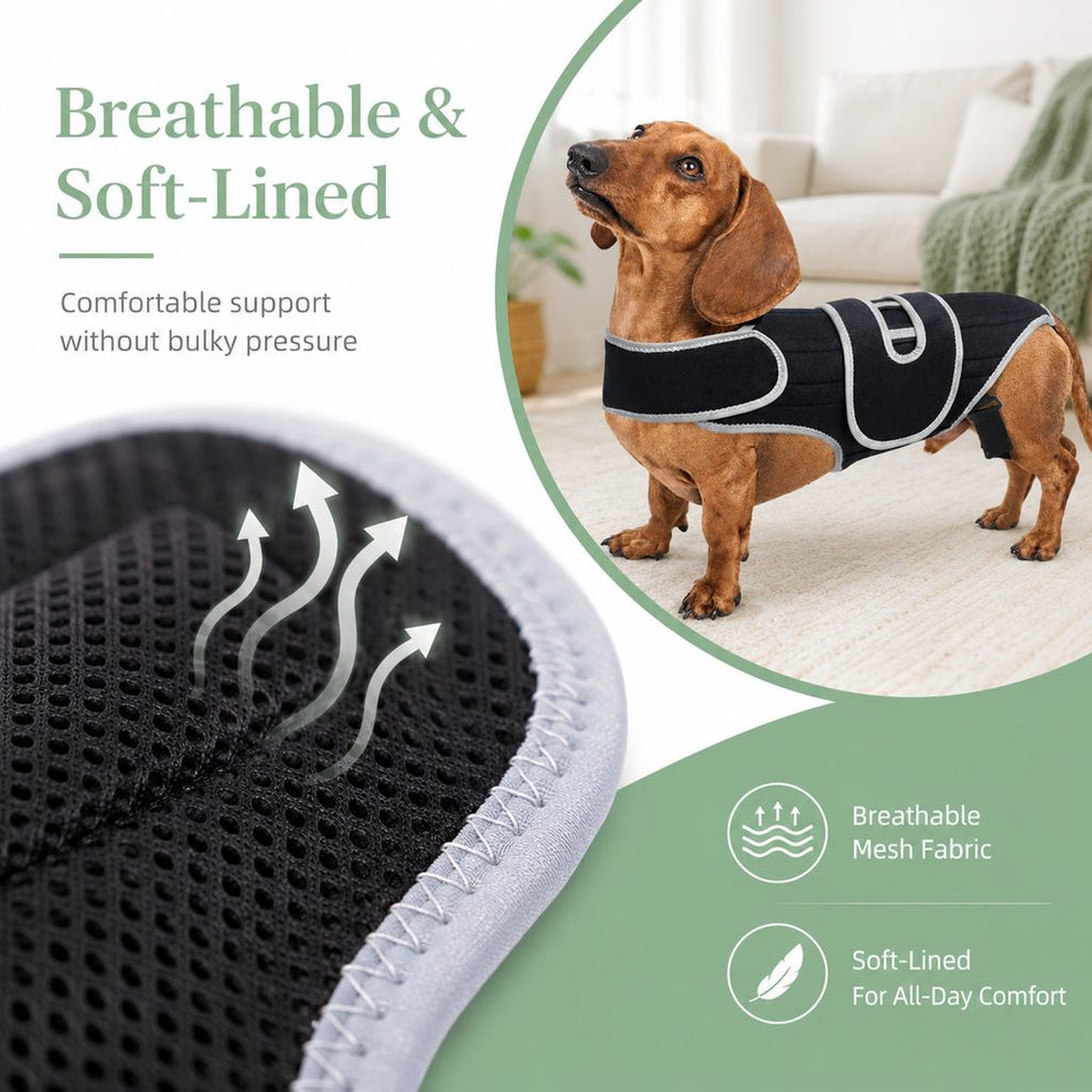 Paws in Awe SpineGuard Dog Back Support Vest for Dachshunds & Corgis - Adjustable Spinal Support Brace for Senior Dogs, Recovery Days & Gentle Walks image 7