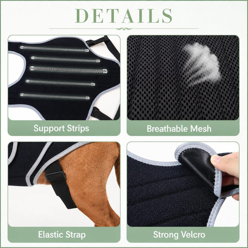 Paws in Awe SpineGuard Dog Back Support Vest for Dachshunds & Corgis - Adjustable Spinal Support Brace for Senior Dogs, Recovery Days & Gentle Walks image 8