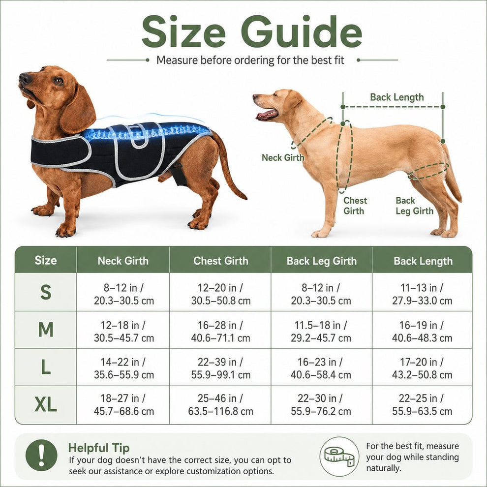 Paws in Awe SpineGuard Dog Back Support Vest for Dachshunds & Corgis - Adjustable Spinal Support Brace for Senior Dogs, Recovery Days & Gentle Walks image 9