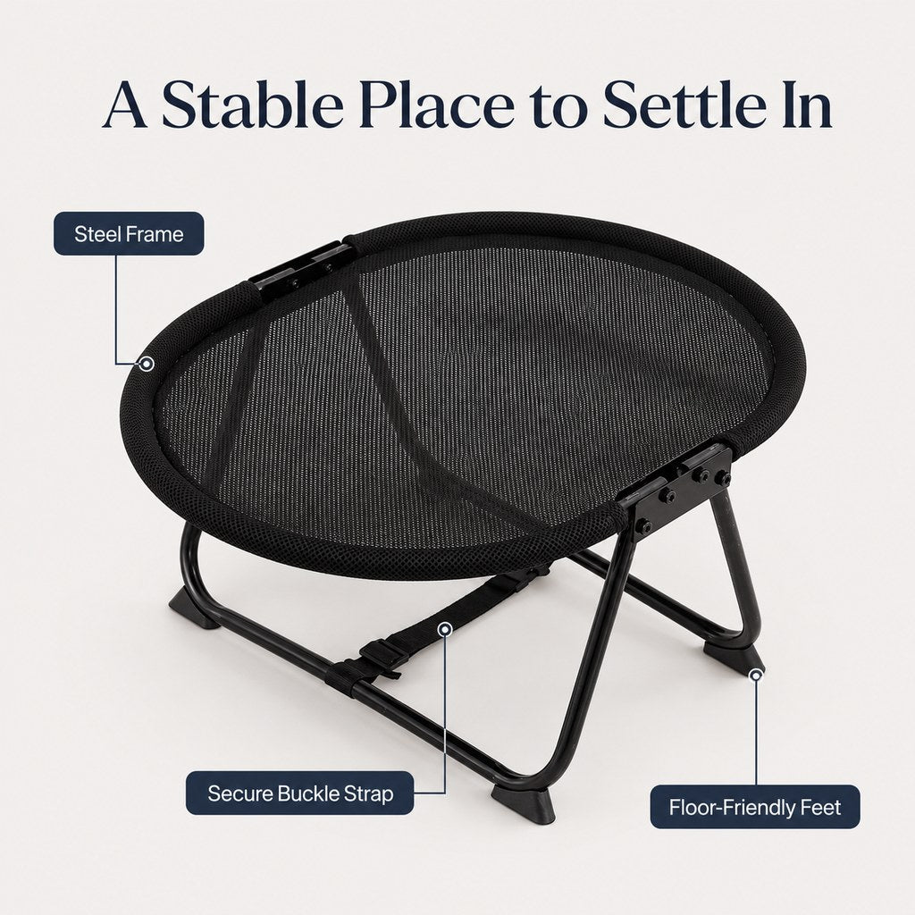 Stable folding steel frame elevated pet cot