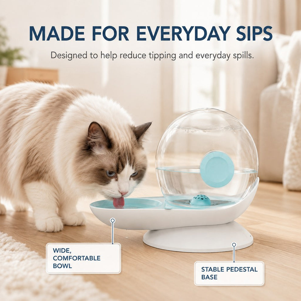 Paws in Awe 2.8L Gravity Pet Waterer for Cats & Small Dogs – No-Plug Auto Refill for Busy Homes image 7