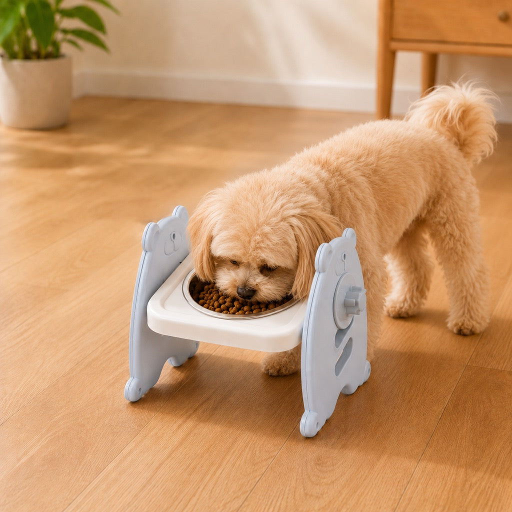 Stable raised pet feeder base for cats and small dogs