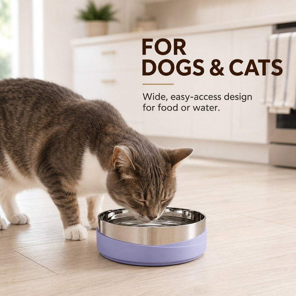 Weighted stainless steel dog and cat bowl with wide access