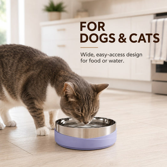 Weighted stainless steel dog and cat bowl with wide access