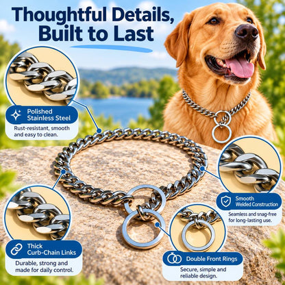 Thoughtful stainless steel dog collar details and polished chain construction