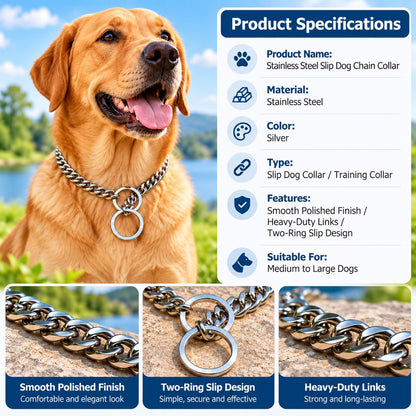 Stainless steel slip dog collar product specifications