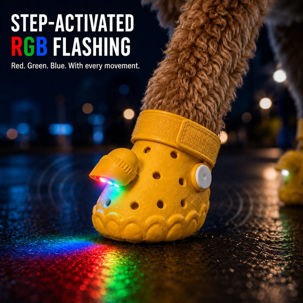 Paws in Awe Step-Activated RGB Light-Up Dog Boots for Night Walks – Low-Light Visibility & Lightweight EVA Paw Coverage image 4