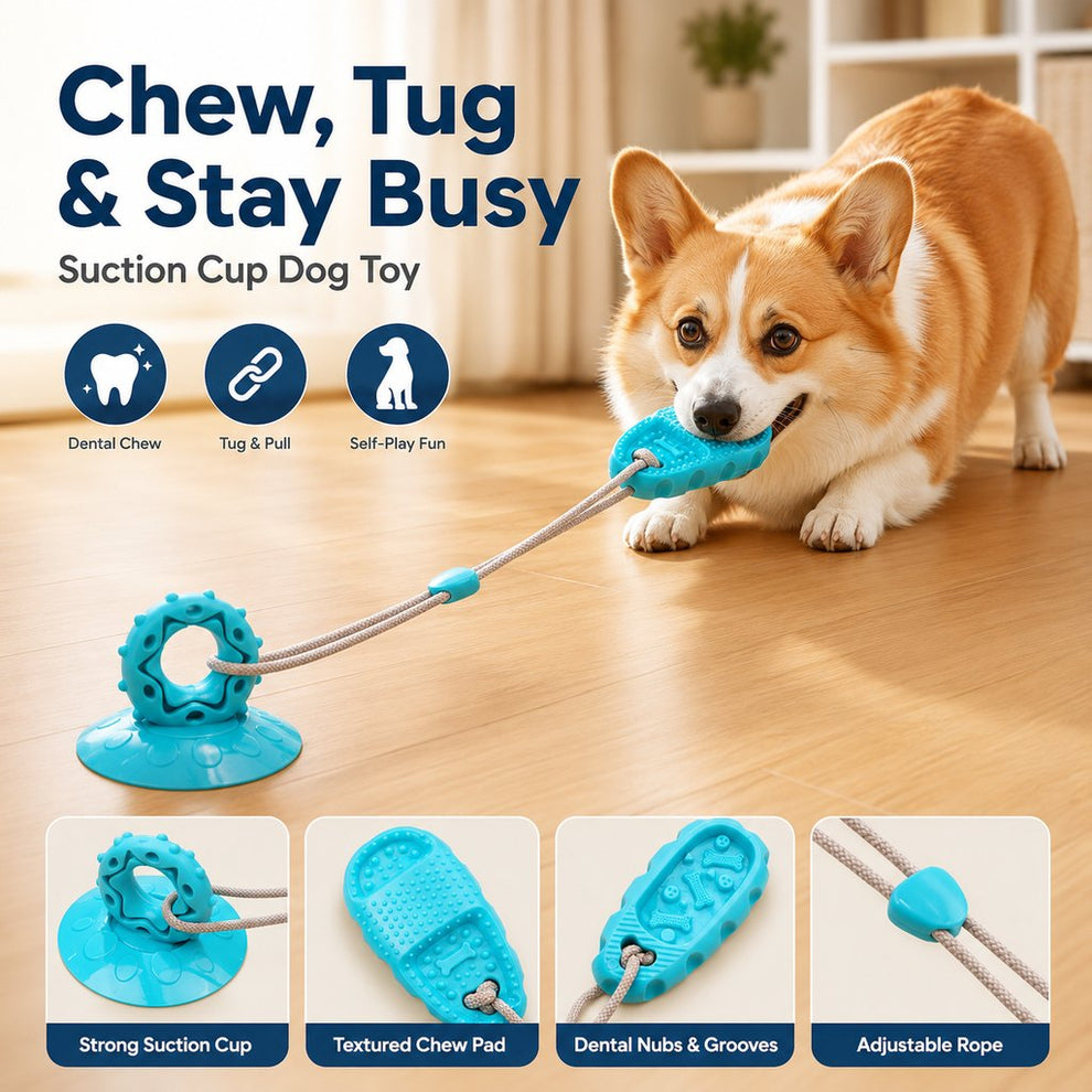 Paws in Awe Suction Cup Dog Chew & Tug Toy for Indoor Play - Helps Redirect Shoe Chewing & Burn Boredom image 3