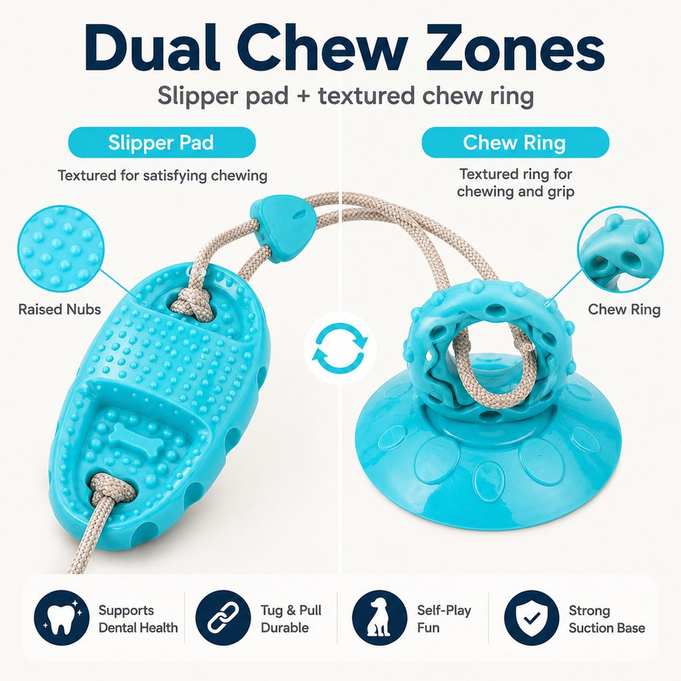 Paws in Awe Suction Cup Dog Chew & Tug Toy for Indoor Play - Helps Redirect Shoe Chewing & Burn Boredom image 7