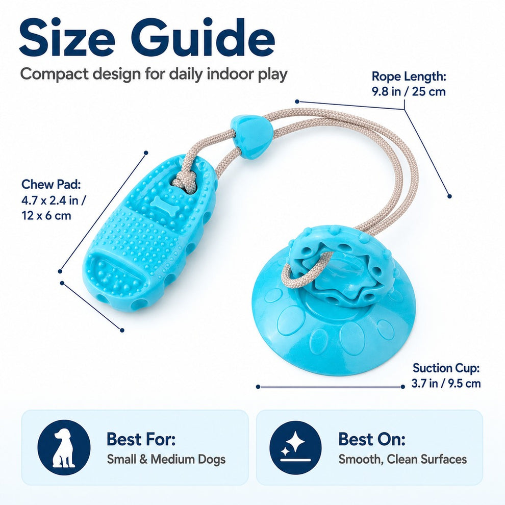 Paws in Awe Suction Cup Dog Chew & Tug Toy for Indoor Play - Helps Redirect Shoe Chewing & Burn Boredom image 10