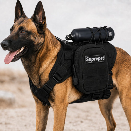 Paws in Awe Tactical Dog Harness Backpack for Large Dogs - Outdoor Walking, Training & Hiking Gear with Load Carrying Pouch image 1