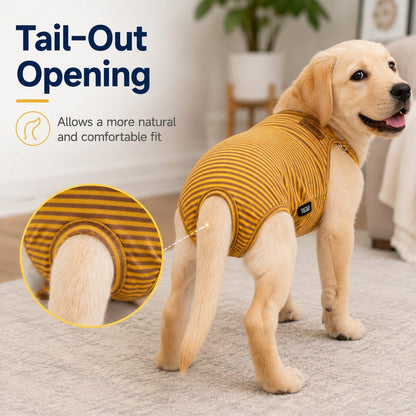 Paws in Awe Washable Female Dog Heat Pants for Home & Furniture Protection - Adjustable Sanitary Diaper with Shoulder Straps image 4