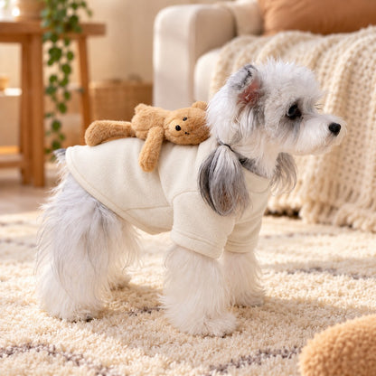 Small dog wearing a cream fleece winter sweater with teddy bear back detail