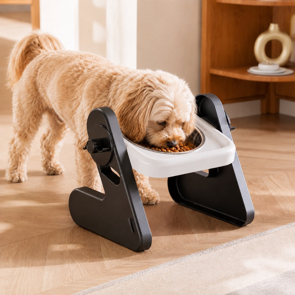 Three-level adjustable double pet bowls with stainless bowls