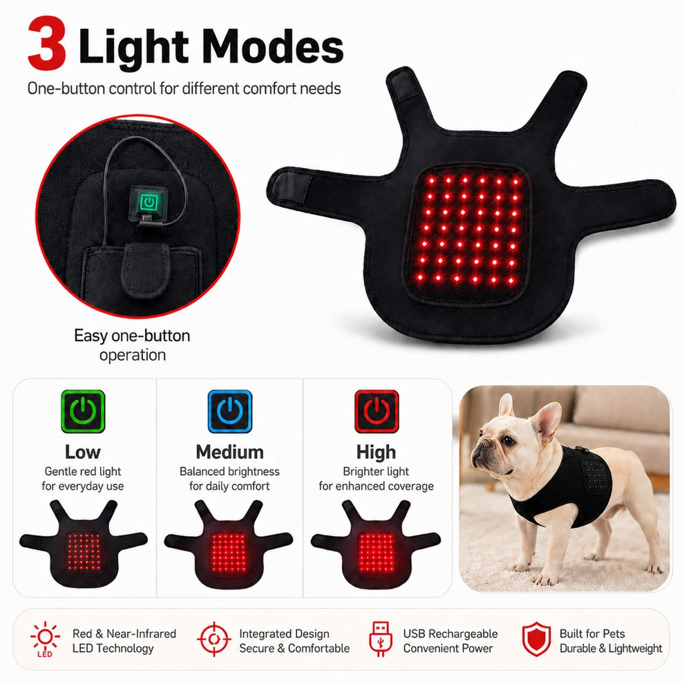 Three-mode dog red light comfort vest with one-button control