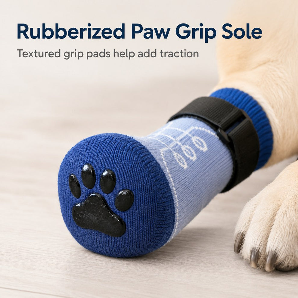 Paws in Awe French Bulldog Non-Slip Socks for Tile & Hardwood Floors - Helps Reduce Back-Leg Slipping, 4-Pack image 6