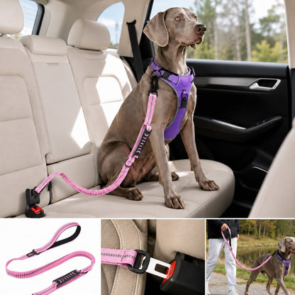 Paws in Awe Reflective Dog Car Seat Belt Leash for Backseat Travel & Daily Walks - Shock-Absorbing Bungee Tether to Help Reduce Pulling & Driver Distraction image 14