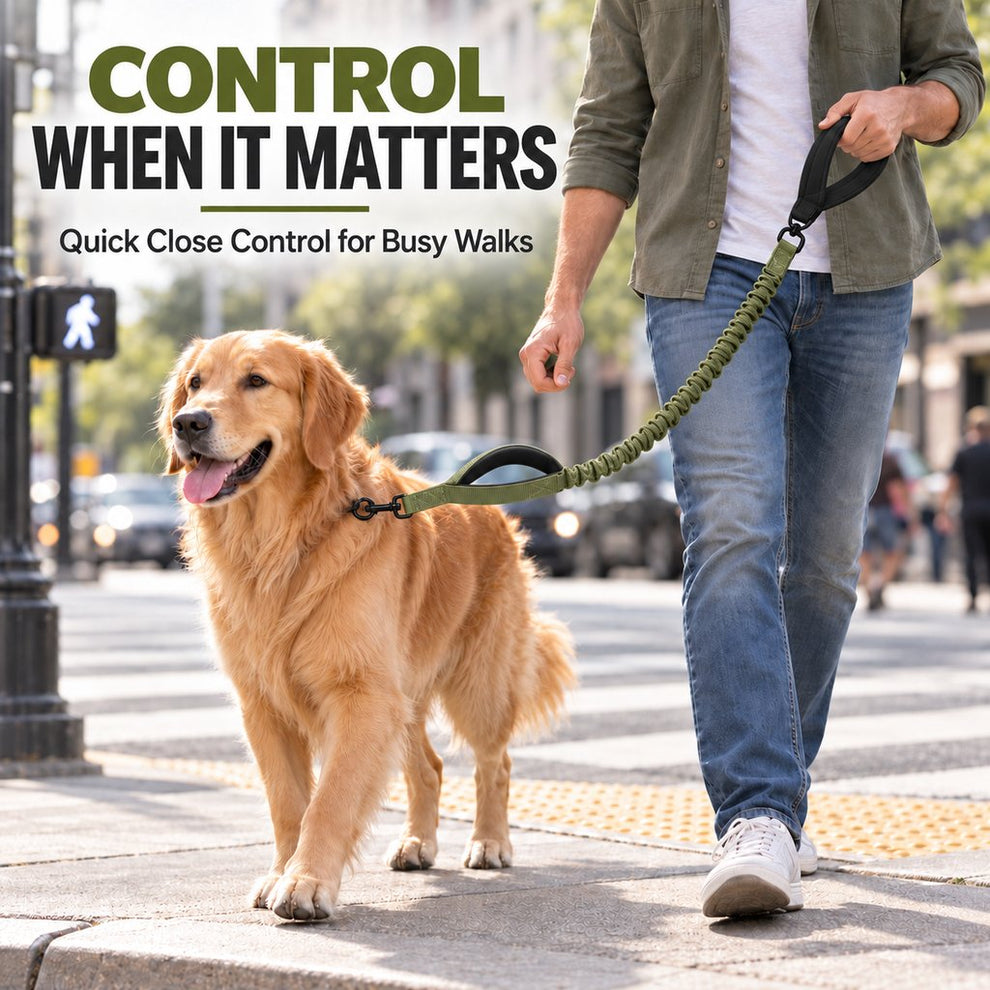 Close-control traffic handle used on a busy sidewalk