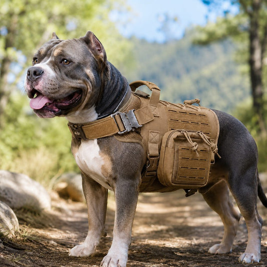Paws in Awe TrailGuard K9 Tactical Dog Backpack Harness with Dual Side Pouches for Hiking, Camping & Outdoor Walks image 1