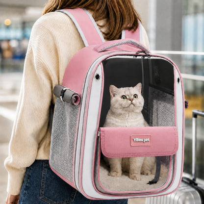 Paws in Awe Transparent Cat Backpack Carrier for Travel & Vet Visits - Breathable, Roomy Pet Backpack for More Comfortable Trips image 15