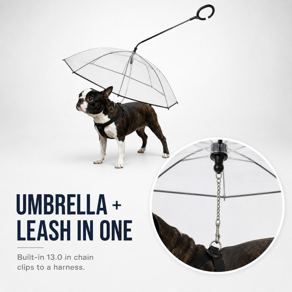 Dog umbrella and leash in one for small dogs