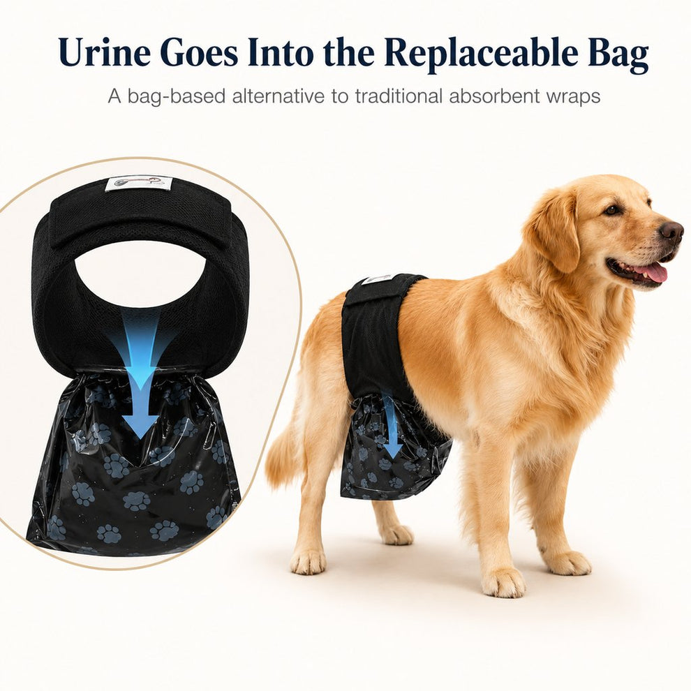 Reusable male dog urine collection wrap with 50 bags