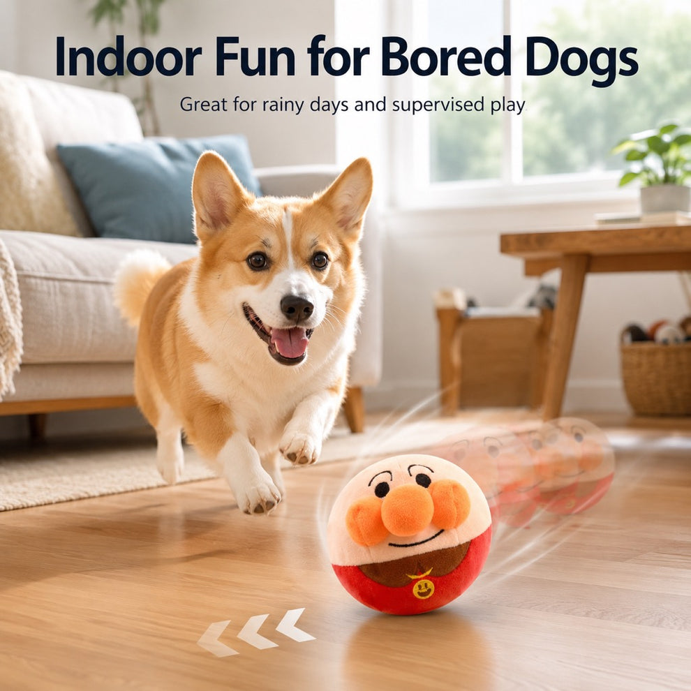 usb rechargeable bouncing plush dog ball