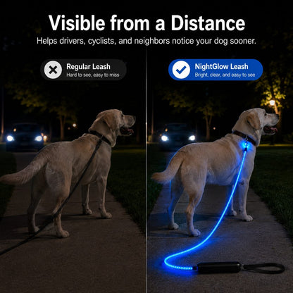 Visible from a distance dog safety leash