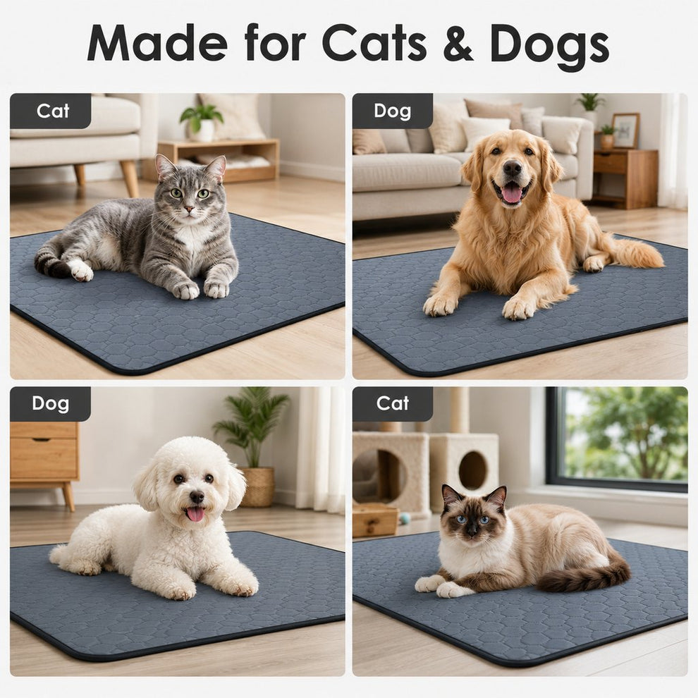 Paws in Awe Reusable Washable Pet Pee Pad for Cats & Dogs - Absorbent Non-Slip Floor Mat for Indoor Potty Training, Playpens & Crates image 3