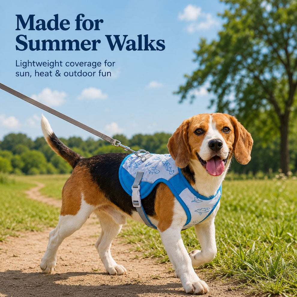 Paws in Awe Water-Activated Dog Cooling Sun Vest for Summer Walks, Camping & Outdoor Heat Relief image 7