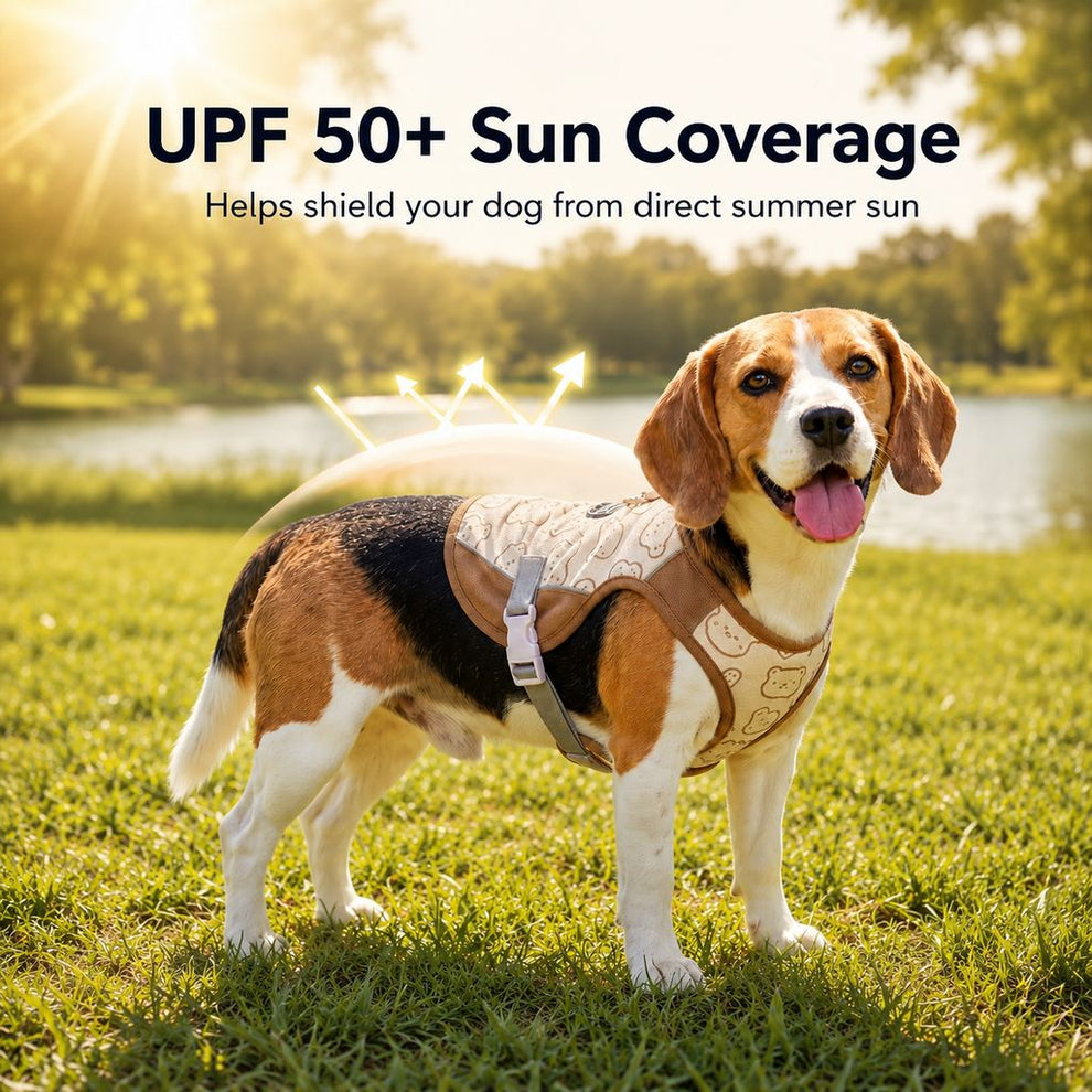 Paws in Awe Water-Activated Dog Cooling Sun Vest for Summer Walks, Camping & Outdoor Heat Relief image 3