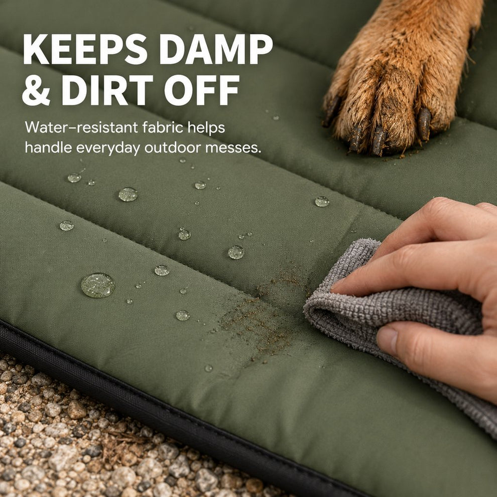 Water-resistant dog mat helps keep damp and dirt off