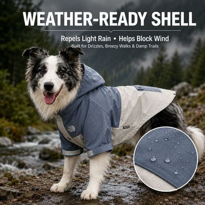Paws in Awe Lightweight Water-Resistant Dog Windbreaker – Rain & Wind Coverage for Chilly Walks image 4