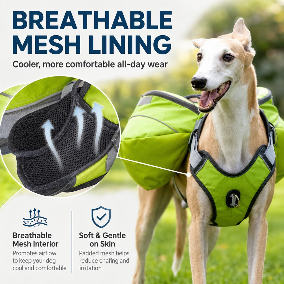 Water-resistant outdoor dog pack for light splashes