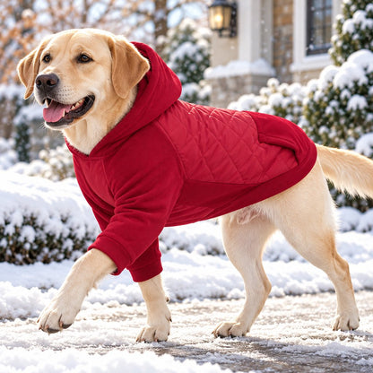 red hooded quilted winter dog coat for cold-weather walks