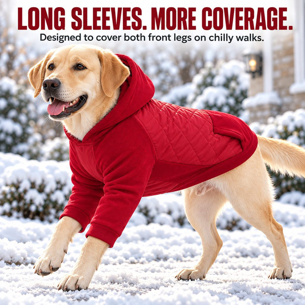 long front-leg sleeves on a red winter dog coat