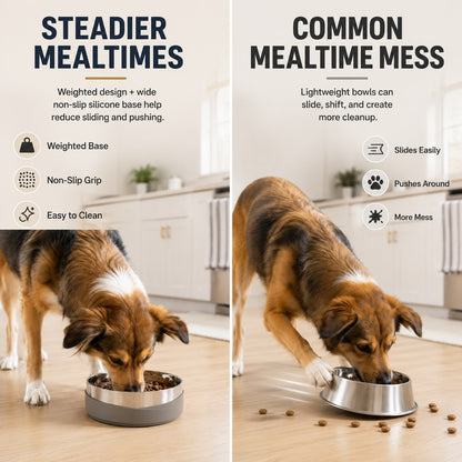 Weighted pet bowl helps reduce common mealtime mess