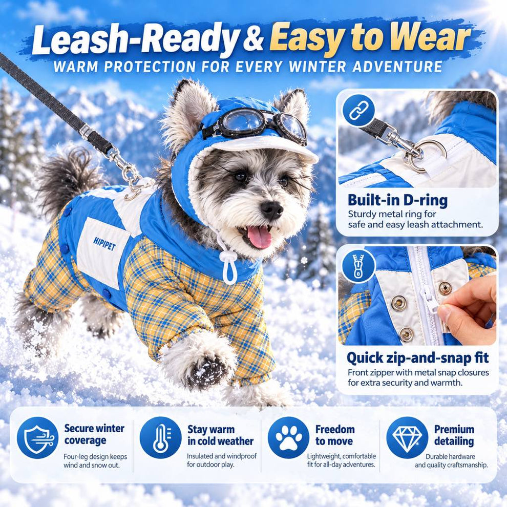 Dog snowsuit leash ring zipper and snap details