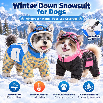 Blue plaid and black pink dog snowsuits in winter setting