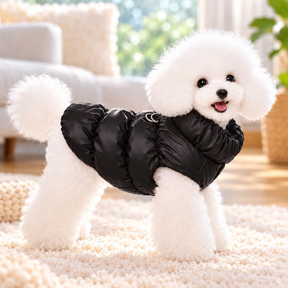 Small dog wearing a black fleece-lined winter puffer vest