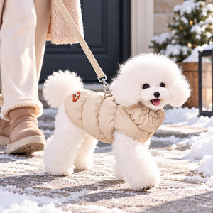Small dog wearing a khaki fleece-lined winter puffer vest