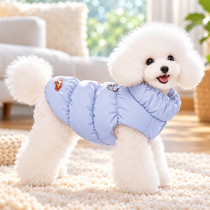Small dog wearing a light blue fleece-lined winter puffer vest