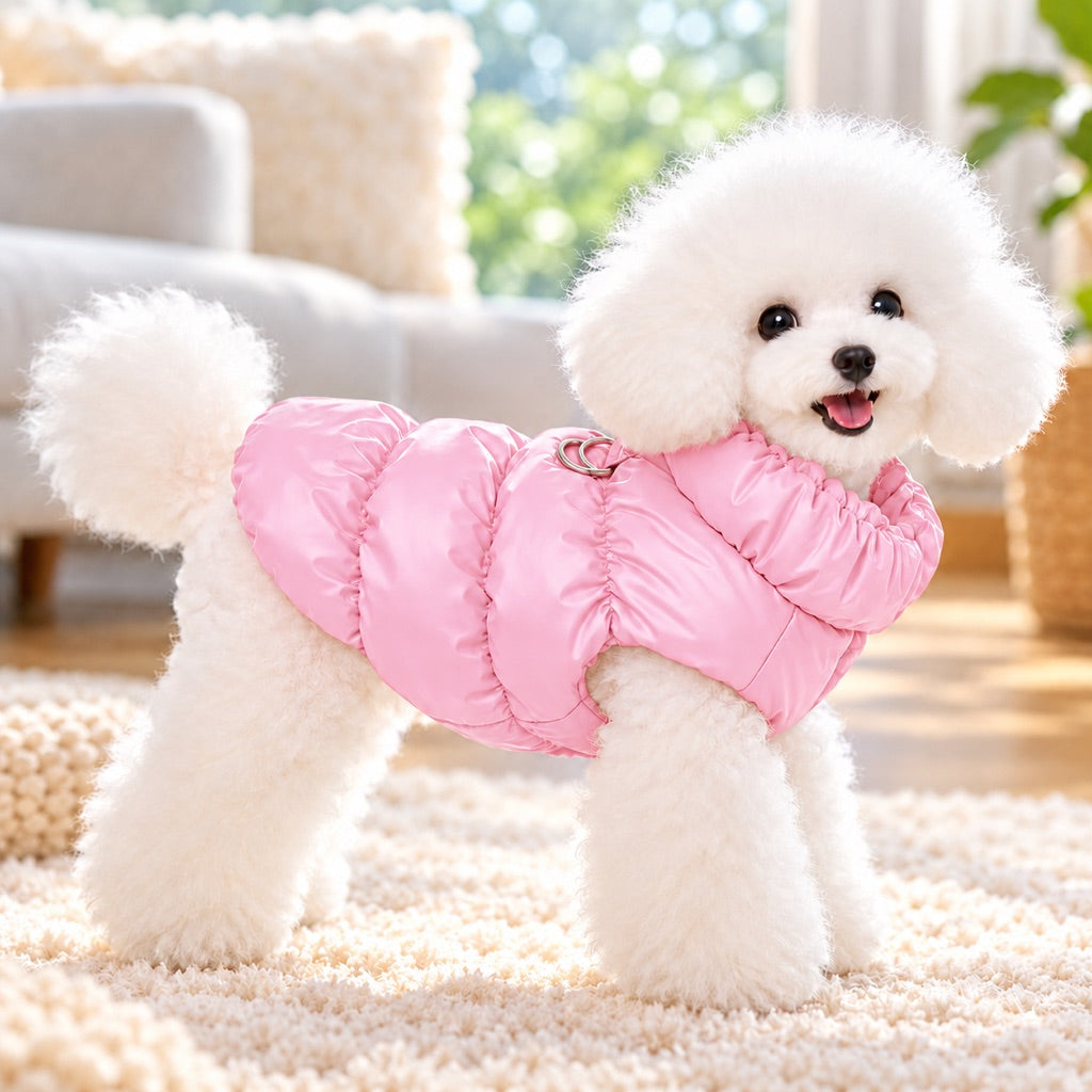Small dog wearing a pink fleece-lined winter puffer vest