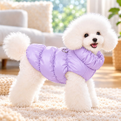 Small dog wearing a purple fleece-lined winter puffer vest