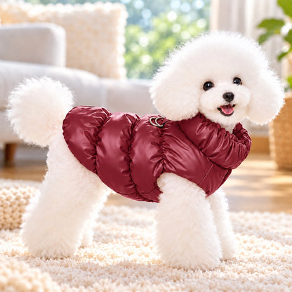 Small dog wearing a wine red fleece-lined winter puffer vest