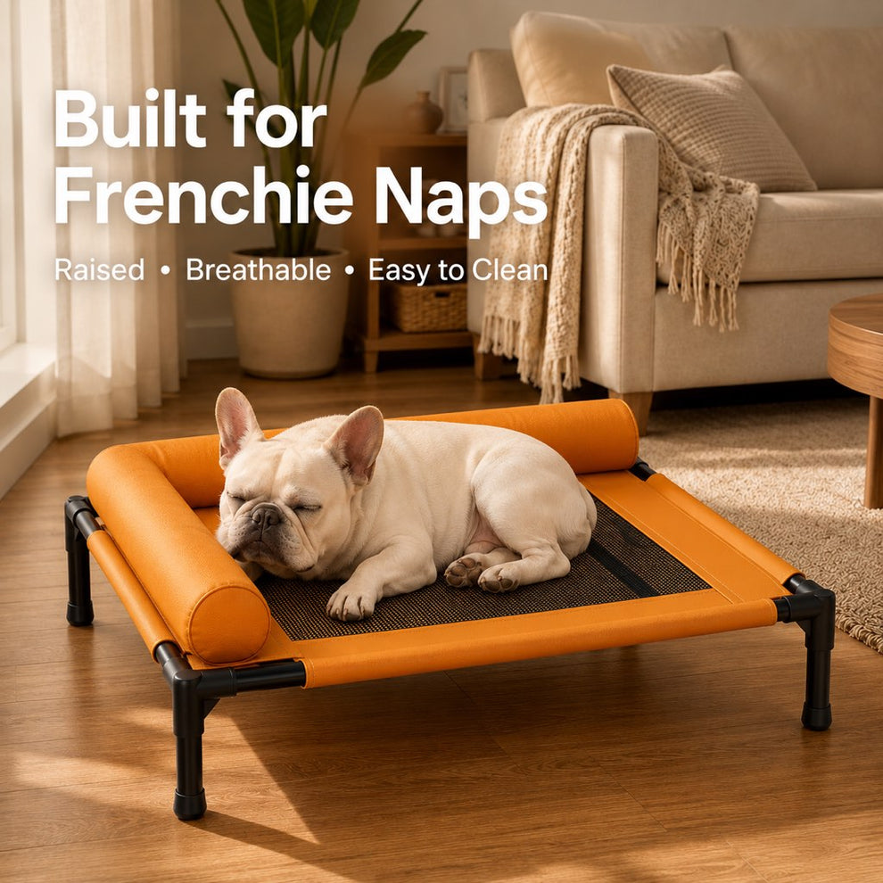 Wipe-clean faux leather dog bed with breathable mesh
