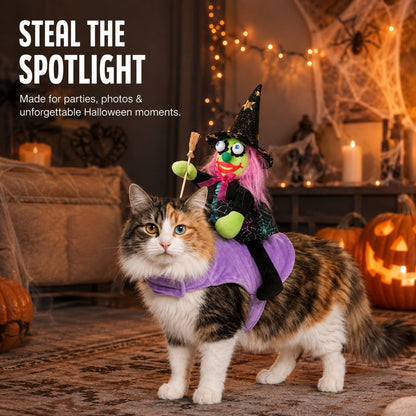 Paws in Awe 3D Witch Rider Halloween Pet Costume for Trick-or-Treating, Parties & Photos – Instant Funny Look for Dogs & Cats image 3