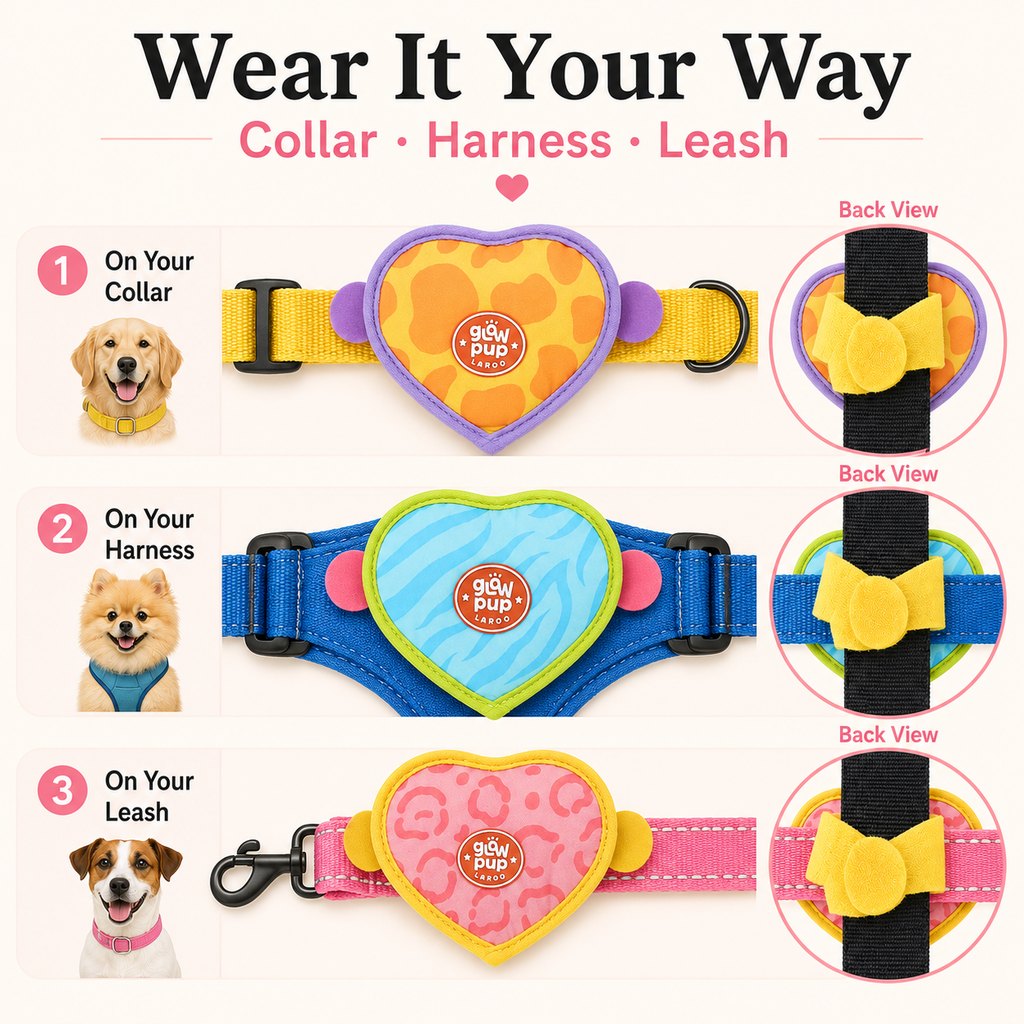 Rechargeable heart pet visibility light for evening walks