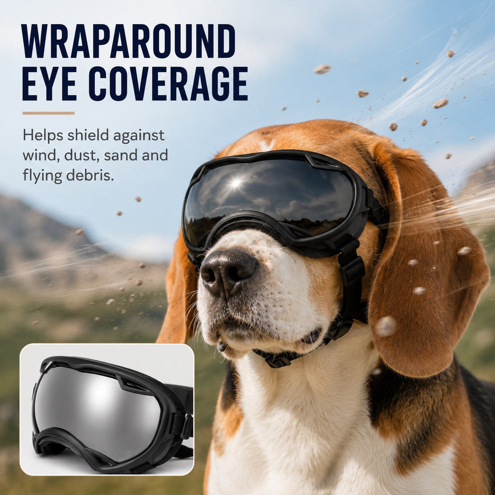 Wraparound dog goggles eye coverage for wind dust and sand