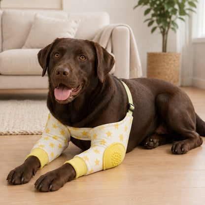 Yellow star dog elbow protector sleeves on resting dog